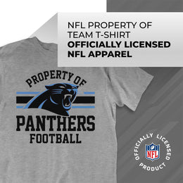 Carolina Panthers NFL Adult Property Of T-Shirt - Sport Gray