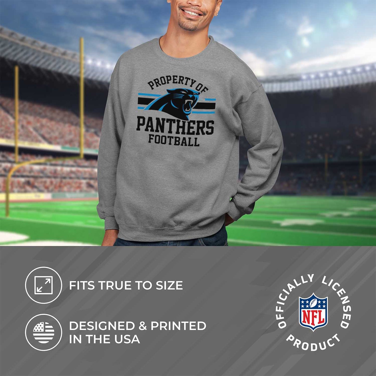 Carolina Panthers NFL Adult Property Of Crewneck Fleece Sweatshirt - Sport Gray