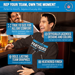 Carolina Panthers NFL Adult Long Sleeve Team Block Charcoal Crewneck Sweatshirt - Charcoal