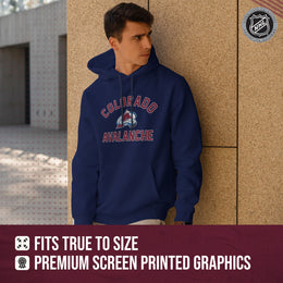 Colorado Avalanche Adult NHL Gameday Hooded Sweatshirt - Navy