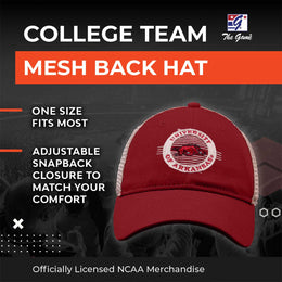 Arkansas Razorbacks NCAA Snapback - Cardinal