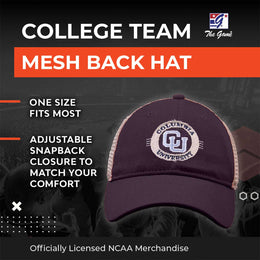 Columbia Lions NCAA Snapback - Navy