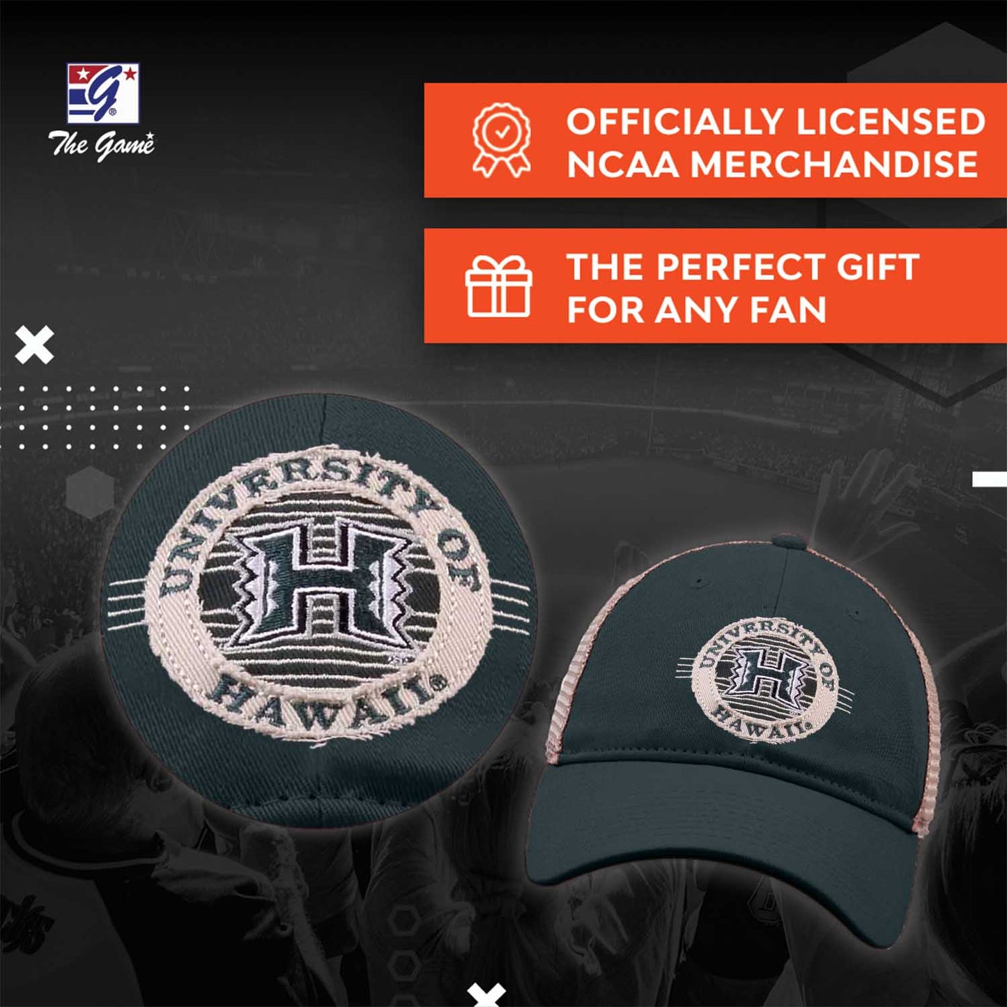 Hawaii Rainbow Warriors NCAA Snapback - Green