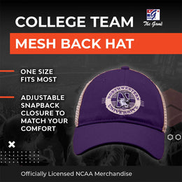 Northwestern Wildcats NCAA Snapback - Purple