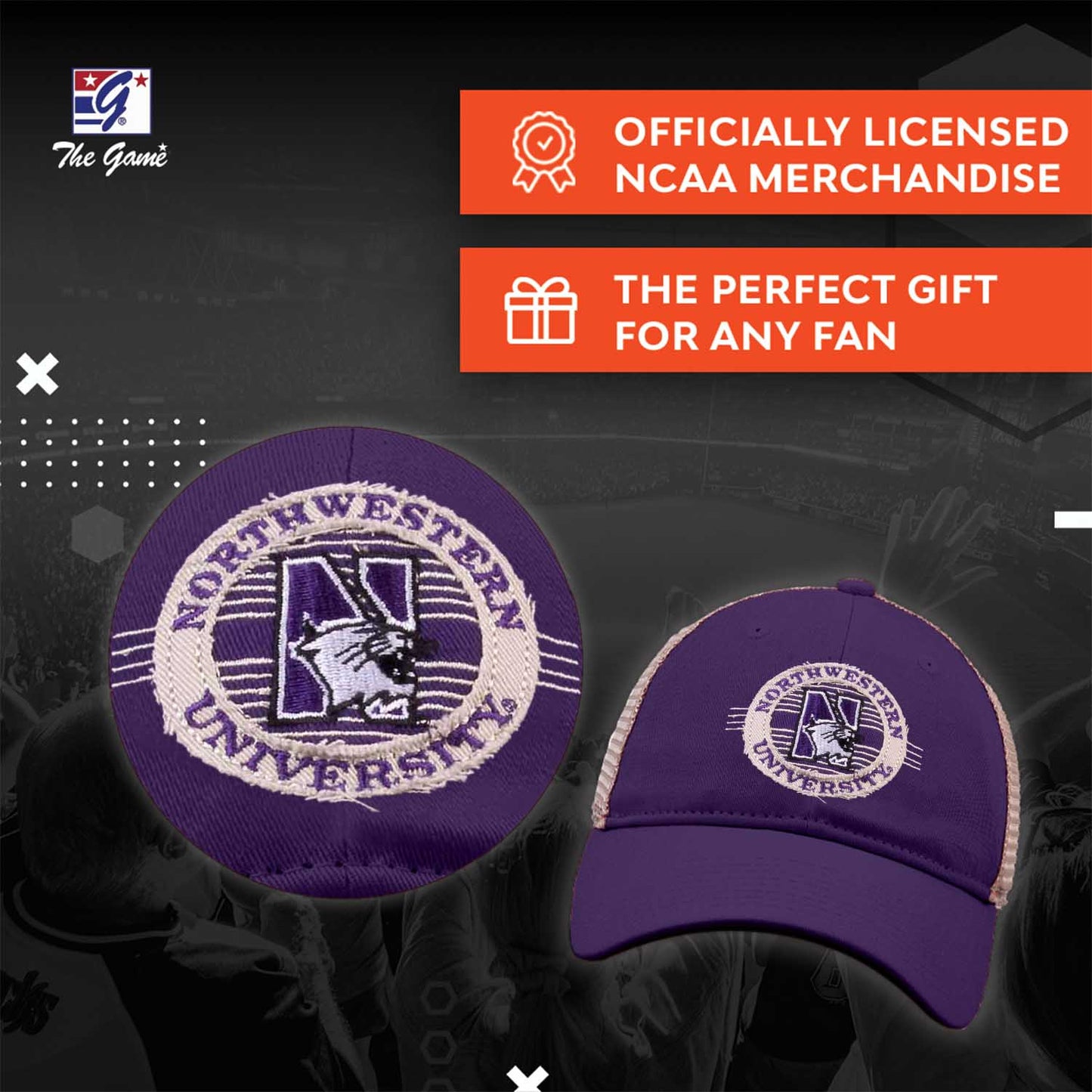 Northwestern Wildcats NCAA Snapback - Purple