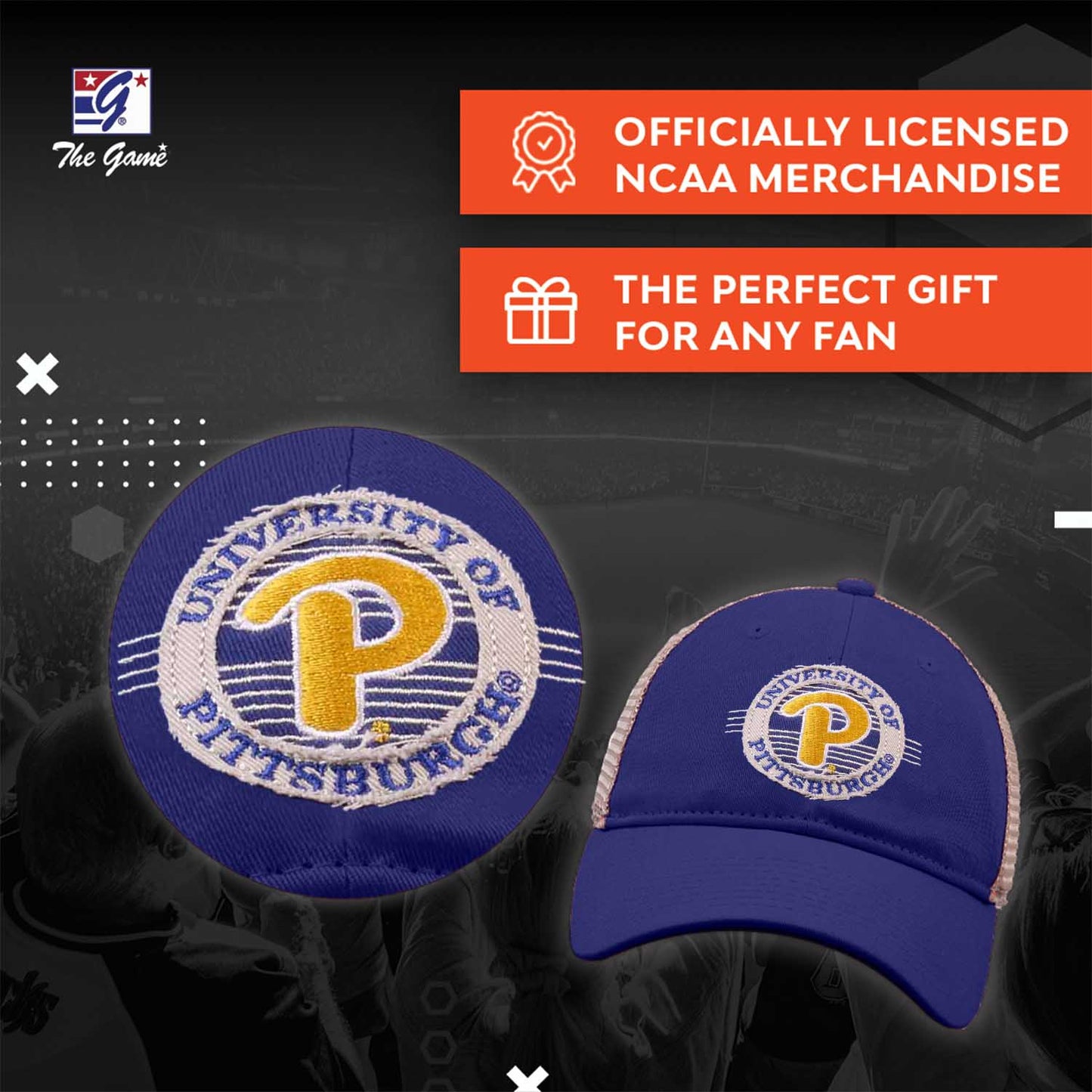Pitt Panthers NCAA Snapback - Royal