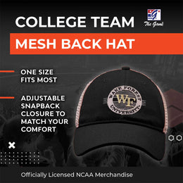 Wake Forest Demon Deacons NCAA Snapback - Black