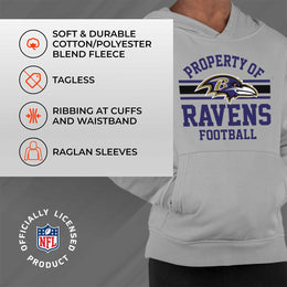 Baltimore Ravens NFL Youth Property Of Hooded Sweatshirt - Sport Gray