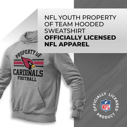 Arizona Cardinals NFL Youth Property Of Hooded Sweatshirt - Sport Gray