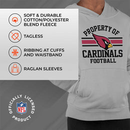 Arizona Cardinals NFL Youth Property Of Hooded Sweatshirt - Sport Gray