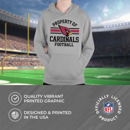 Arizona Cardinals NFL Youth Property Of Hooded Sweatshirt - Sport Gray