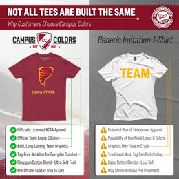 Iowa State Cyclones Adult MVP Heathered Cotton Blend T-Shirt - Cardinal Heather