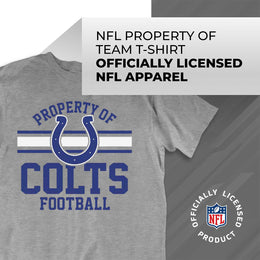 Indianapolis Colts NFL Adult Property Of T-Shirt - Sport Gray