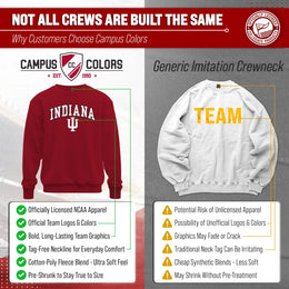 Indiana Hoosiers Campus Colors Adult Arch & Logo Soft Style Gameday Crewneck Sweatshirt  - Cardinal