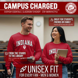 Indiana Hoosiers NCAA Adult Tackle Twill Crewneck Sweatshirt - Crimson