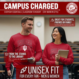 Indiana Hoosiers NCAA Adult Unisex Overtime Classics Crewneck Fleece Sweatshirt - Cardinal