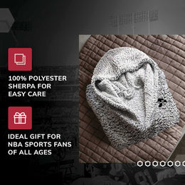 Iowa Hawkeyes NCAA Adult Plush Hooded Robe with Pockets - Gray