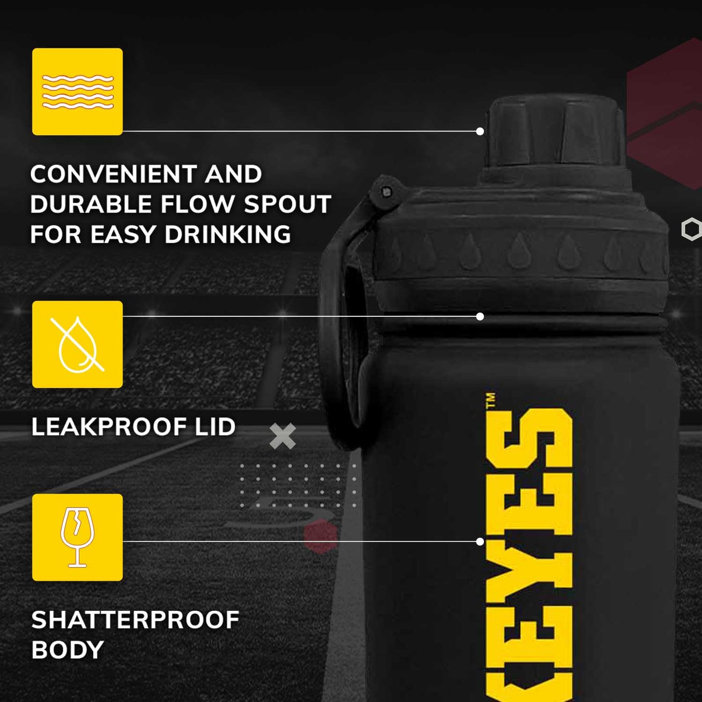 Iowa Hawkeyes NCAA Stainless Steel Water Bottle - Black