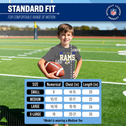 Los Angeles Rams NFL Youth Short Sleeve Charcoal T Shirt - Charcoal