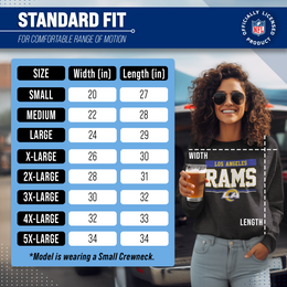 Los Angeles Rams NFL Adult Long Sleeve Team Block Charcoal Crewneck Sweatshirt - Charcoal