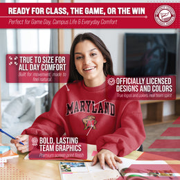 Maryland Terrapins Adult Arch & Logo Soft Style Gameday Crewneck Sweatshirt - Red