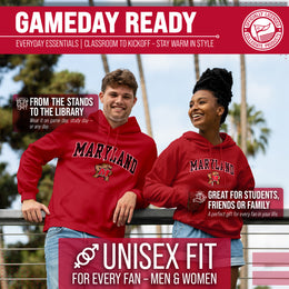 Maryland Terrapins Adult Arch & Logo Soft Style Gameday Hooded Sweatshirt - Red