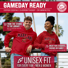 Maryland Terrapins Adult Arch & Logo Soft Style Gameday Hooded Sweatshirt - Red