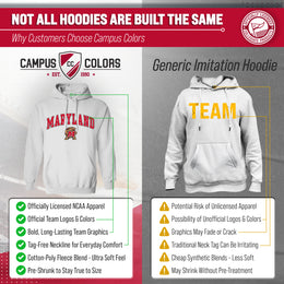 Maryland Terrapins Adult Arch & Logo Soft Style Gameday Hooded Sweatshirt - White