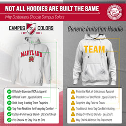 Maryland Terrapins Adult Arch & Logo Soft Style Gameday Hooded Sweatshirt - White