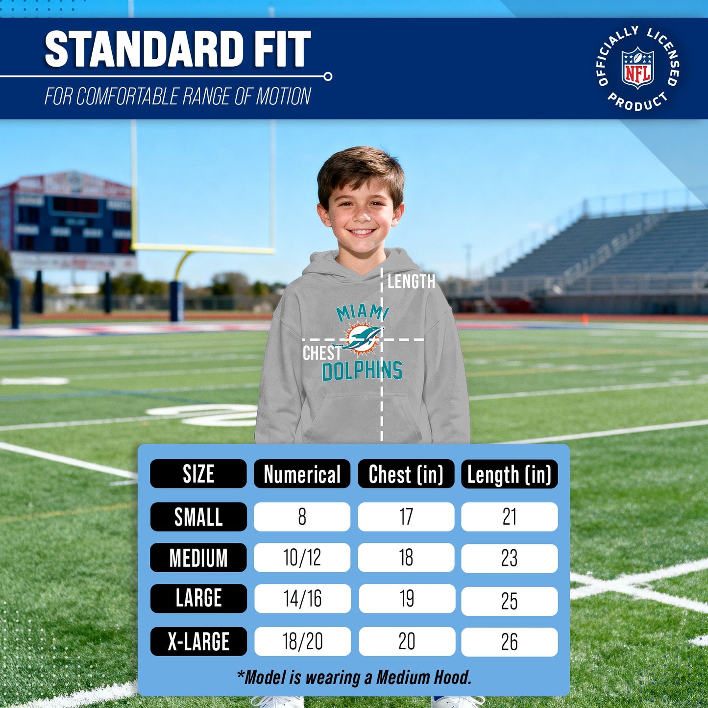 Miami Dolphins NFL Youth Gameday Hooded Sweatshirt - Gray