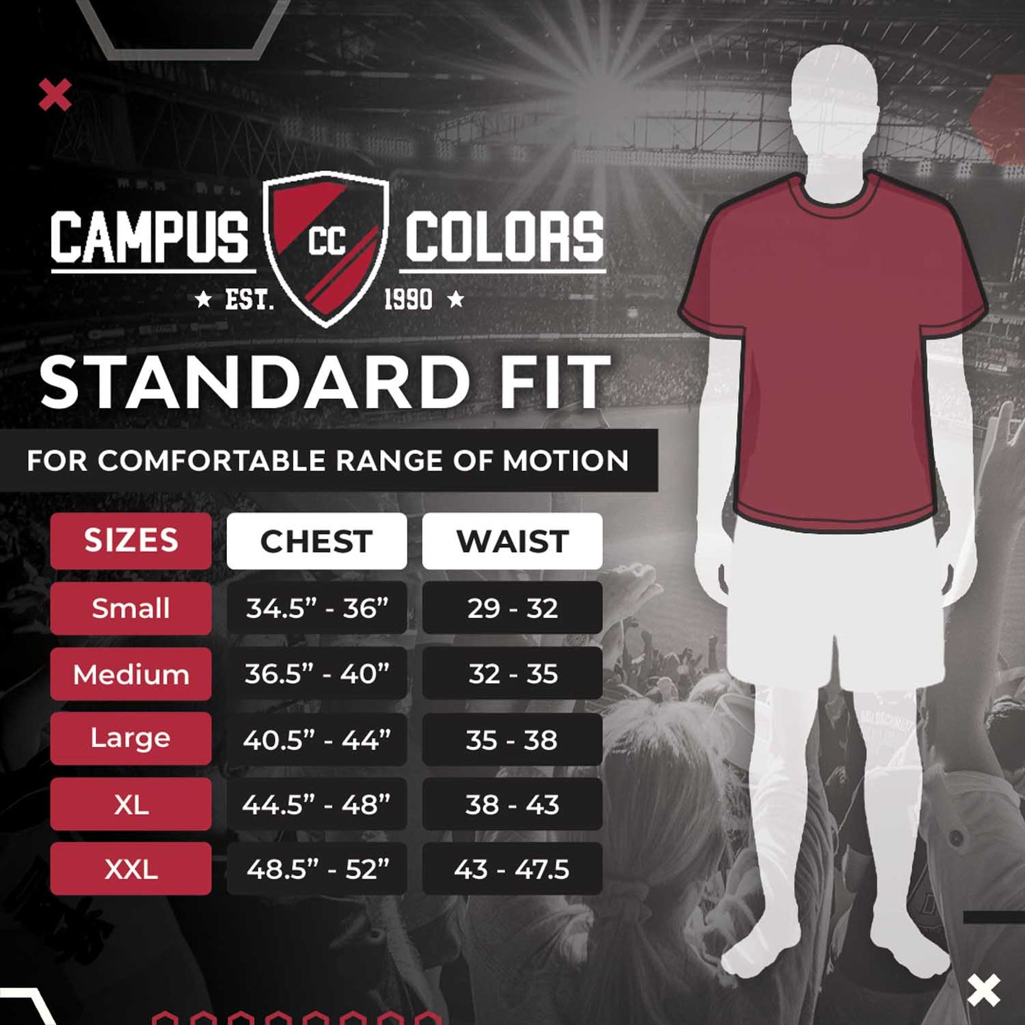 UCLA Bruins Campus Colors NCAA Adult Cotton Blend Charcoal Tagless T-Shirt - Charcoal