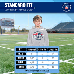 New England Patriots NFL Youth Property Of Hooded Sweatshirt - Sport Gray