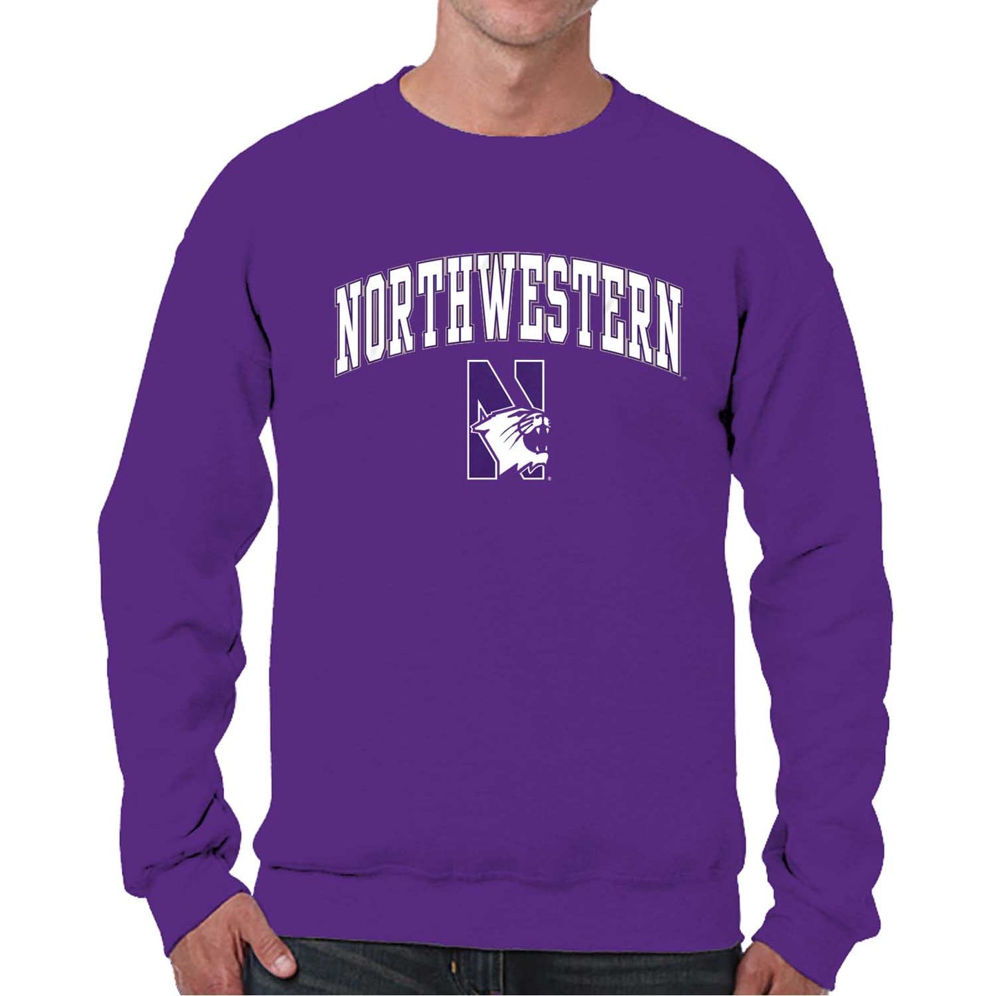 Northwestern Wildcats Adult Arch & Logo Soft Style Gameday Crewneck Sweatshirt - Purple