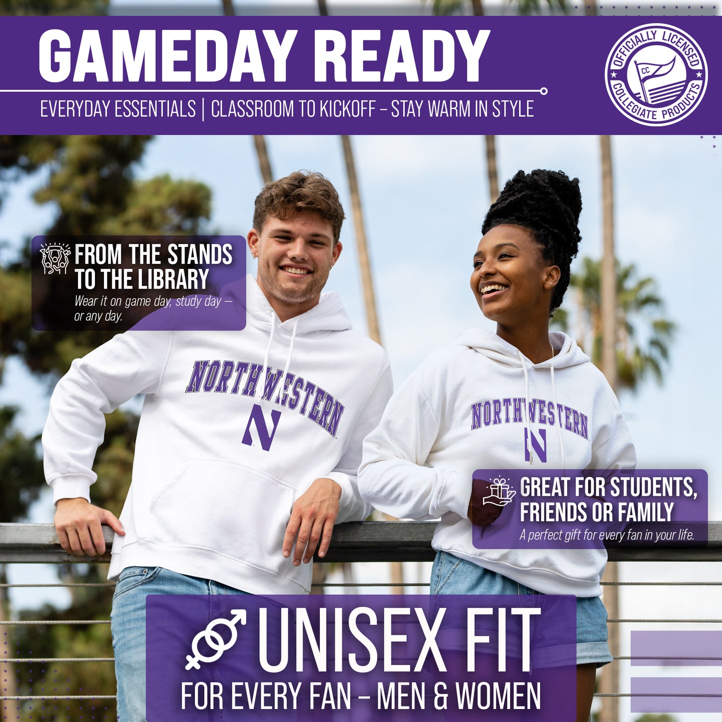 Northwestern Wildcats Adult Arch & Logo Soft Style Gameday Hooded Sweatshirt - White
