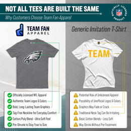 Philadelphia Eagles NFL Modern Throwback T-shirt - Gray