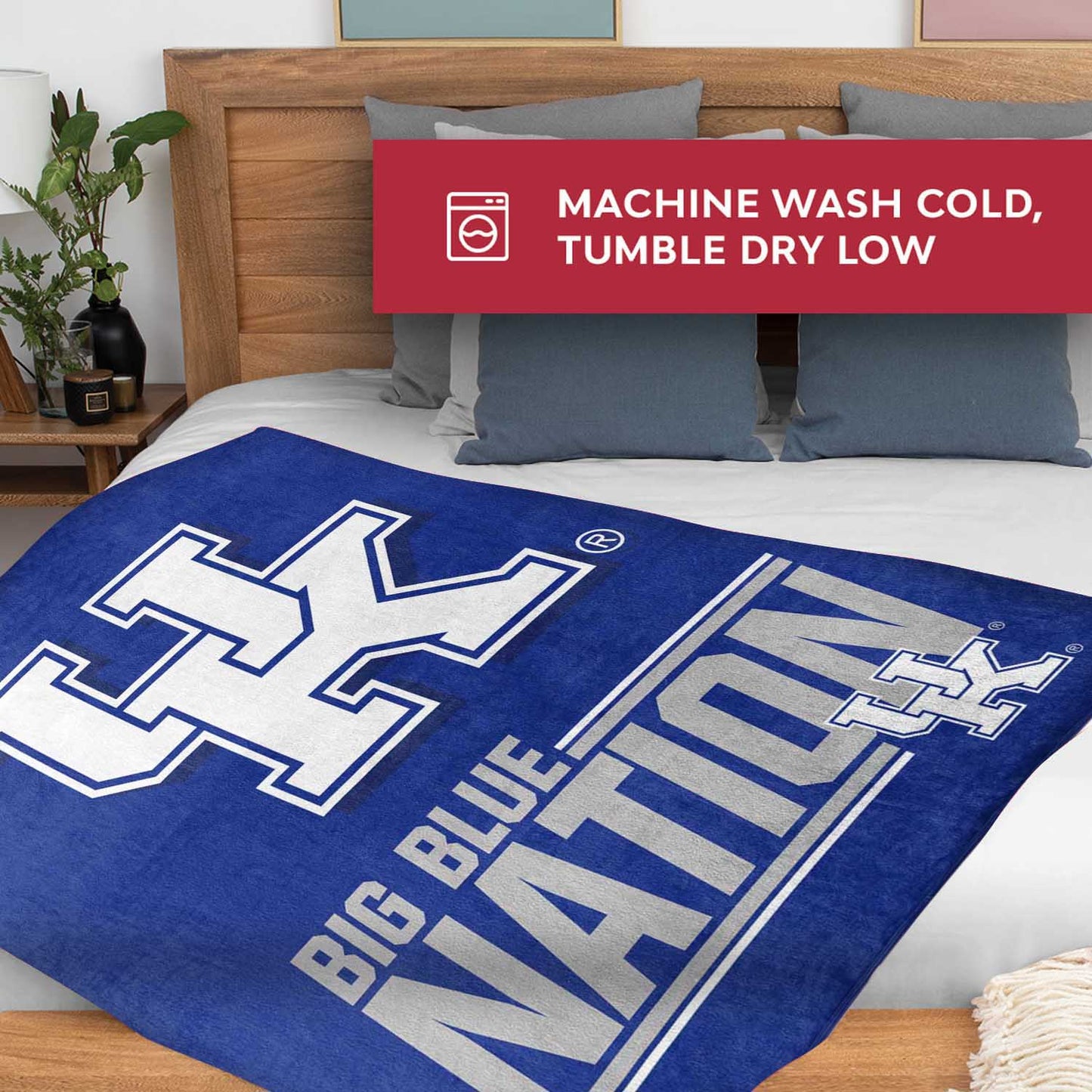 Kentucky Wildcats NCAA Double Sided Blanket - Blue