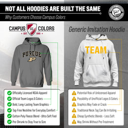 Purdue Boilermakers Adult Arch & Logo Soft Style Gameday Hooded Sweatshirt - Gray