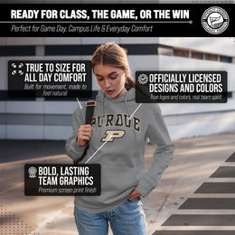 Purdue Boilermakers Adult Arch & Logo Soft Style Gameday Hooded Sweatshirt - Gray