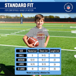 Washington Commanders NFL Youth Property Of Short Sleeve Lightweight T Shirt - Sport Gray